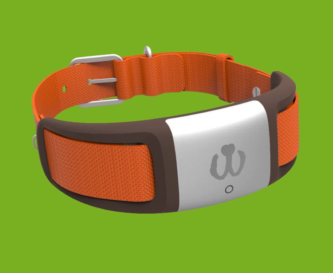 waggit dog collar