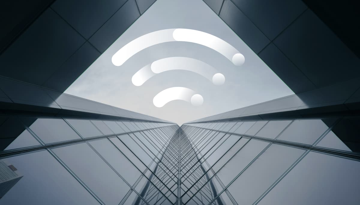 Fintech startups & scale ups