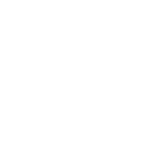 ntt-2 (1)