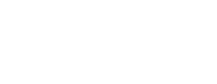 autoliv (1)