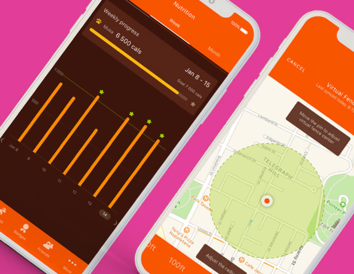 Waggit - health tracker for dogs